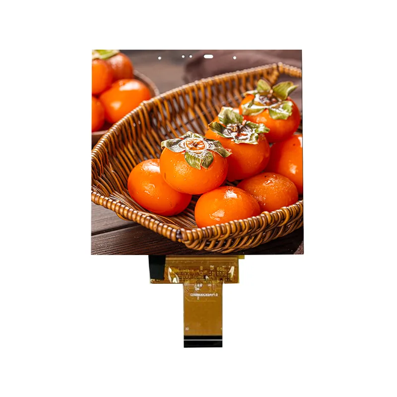 سمارٹ ہوم کے لئے 3.95 انچ چھوٹا سائز IPS ان سیل ٹچ اسکرین ماڈیول سمارٹ ہوم کے لئے 3.95 انچ چھوٹا سائز IPS ان سیل ٹچ اسکرین ماڈیول